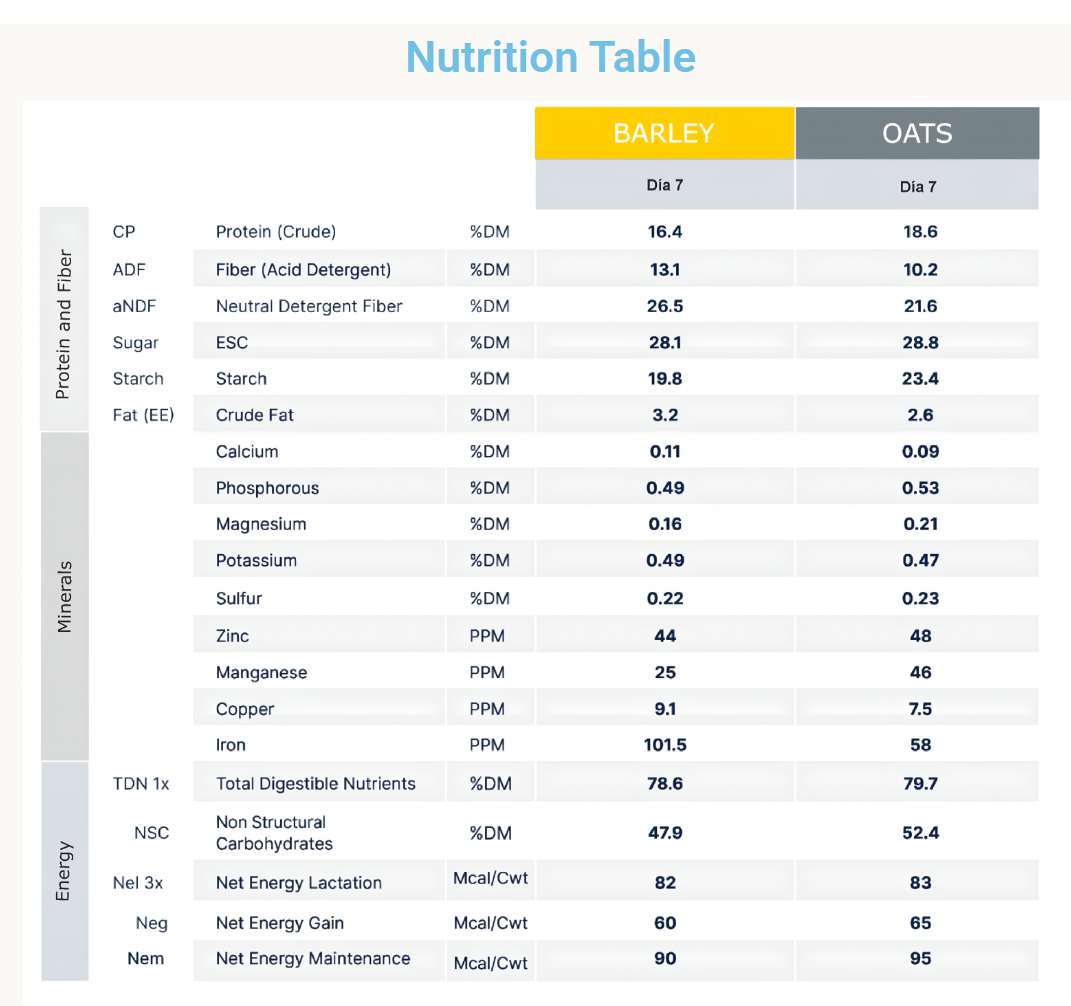 Hydroponic Fodder Nutritional Analysis Table